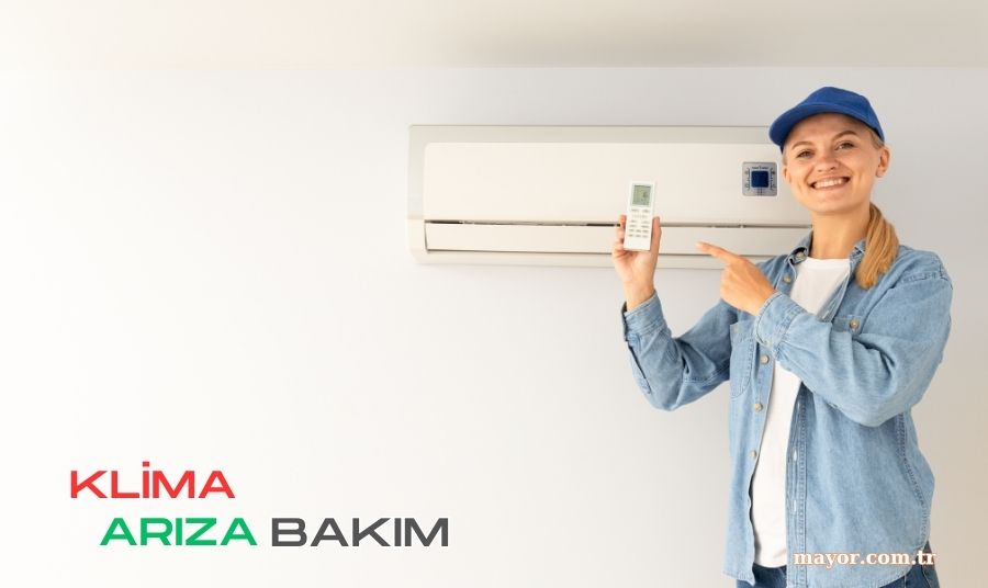 Electrolux Klima Servisi
